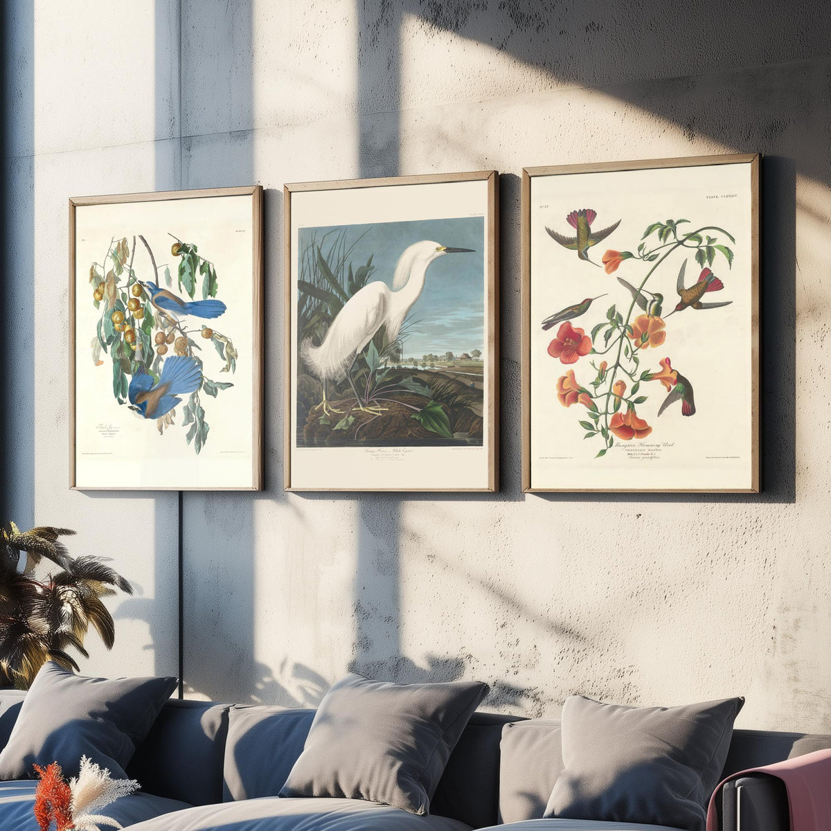 Set of Three John James Audubon Florida Prints - Florida Jays Snowy Heron Mangrove Hummingbird - 3 Bird Painting Posters Wall Art Gift Decor
