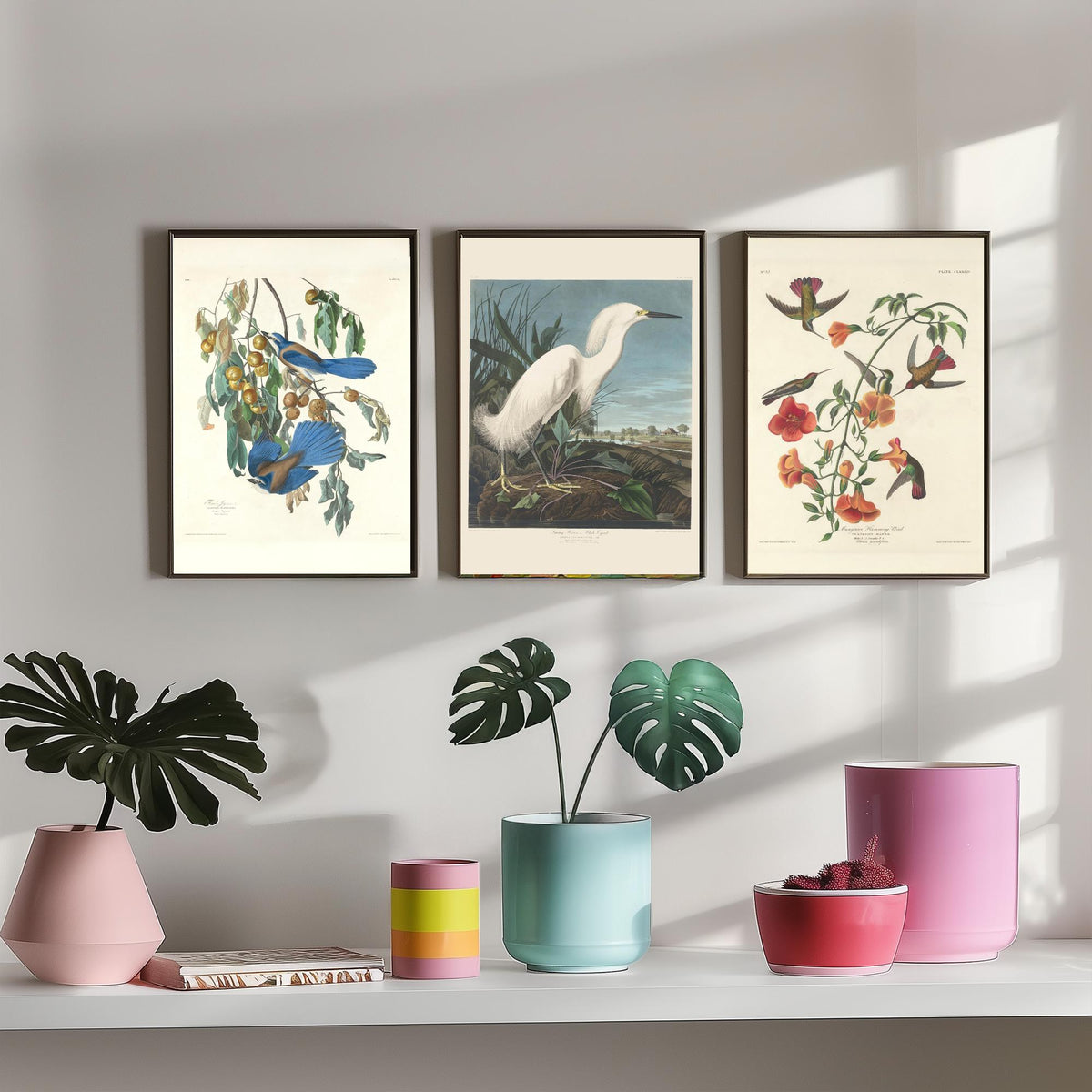 Set of Three John James Audubon Florida Prints - Florida Jays Snowy Heron Mangrove Hummingbird - 3 Bird Painting Posters Wall Art Gift Decor