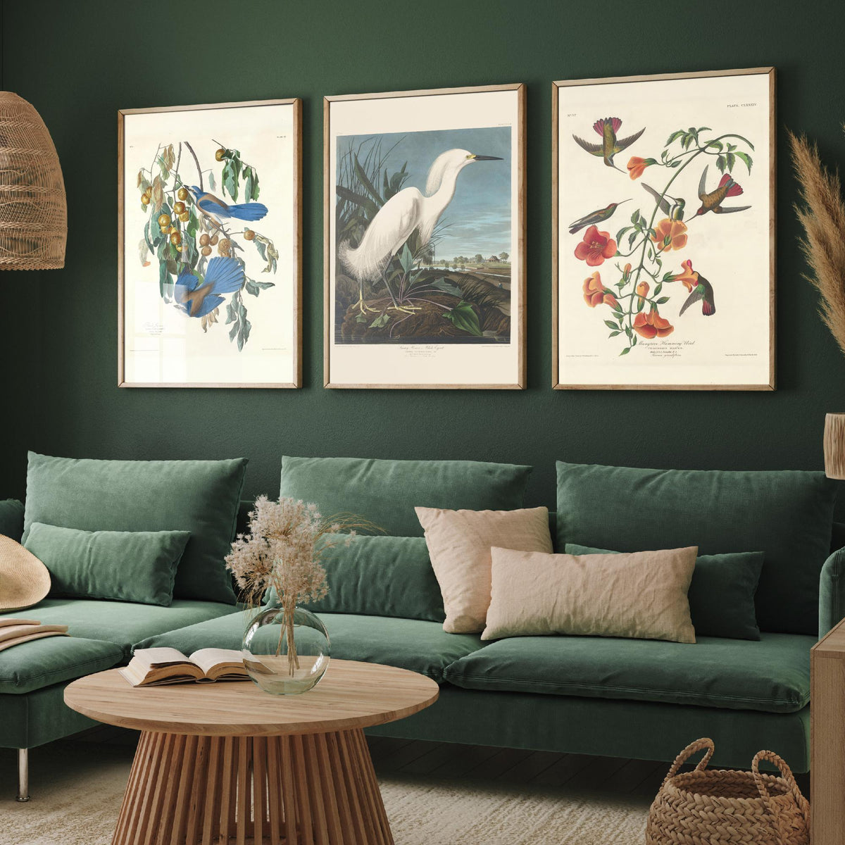 Set of Three John James Audubon Florida Prints - Florida Jays Snowy Heron Mangrove Hummingbird - 3 Bird Painting Posters Wall Art Gift Decor