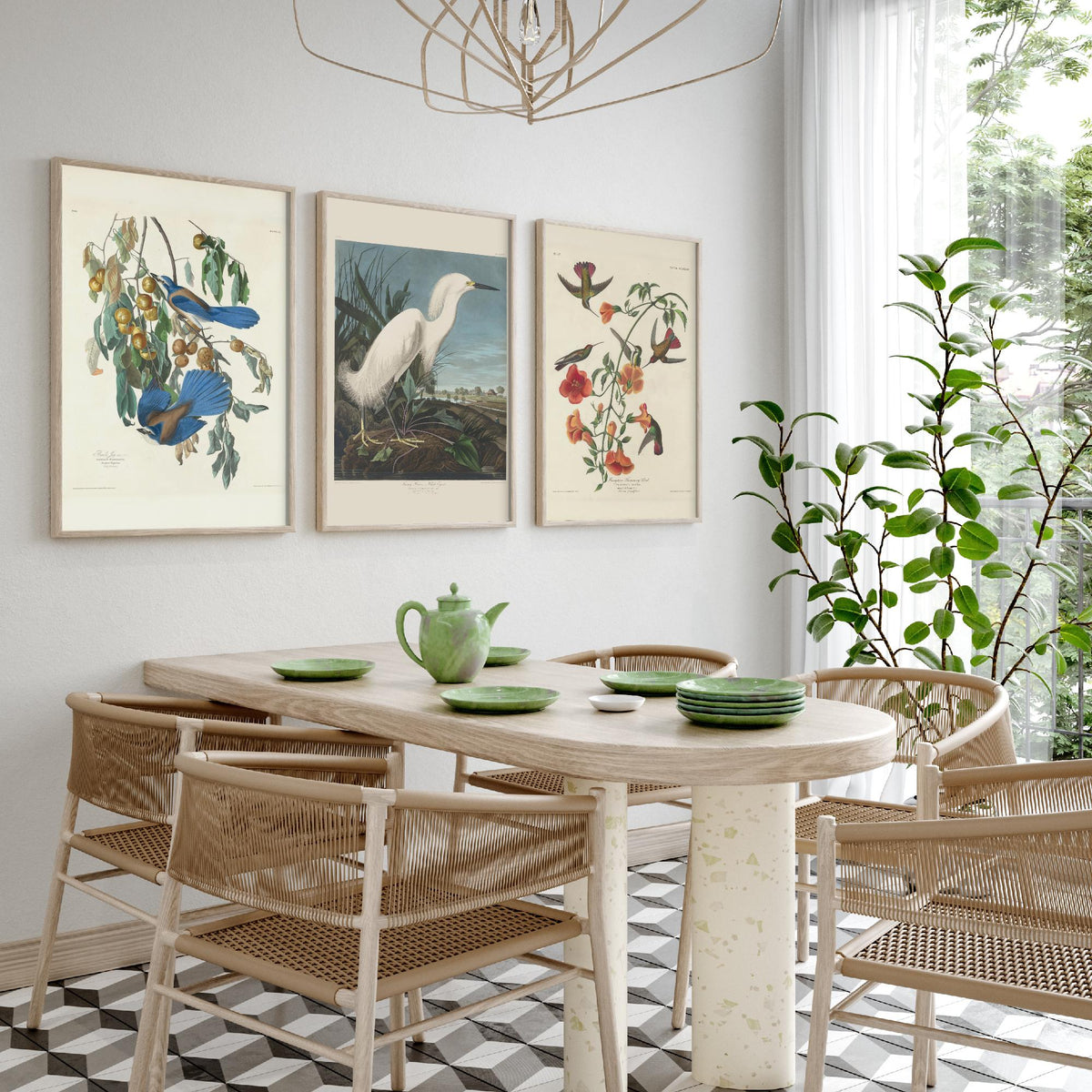 Set of Three John James Audubon Florida Prints - Florida Jays Snowy Heron Mangrove Hummingbird - 3 Bird Painting Posters Wall Art Gift Decor