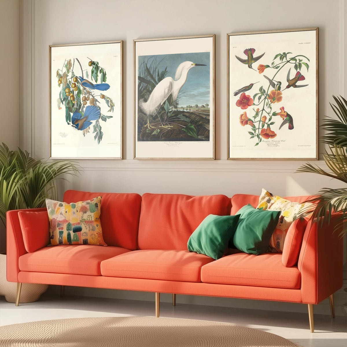 Set of Three John James Audubon Florida Prints - Florida Jays Snowy Heron Mangrove Hummingbird - 3 Bird Painting Posters Wall Art Gift Decor