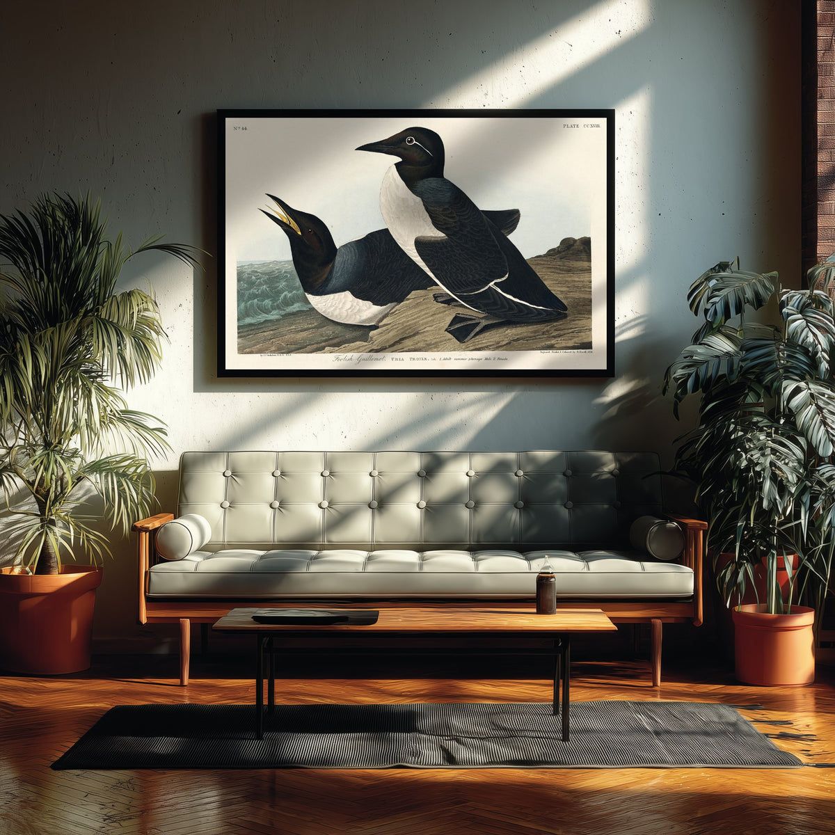 Common Murre Art Print - John James Audubon Poster - Birds of America Vintage Illustration