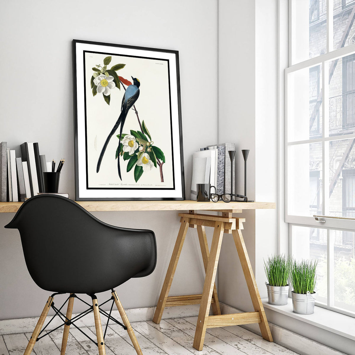 Fork-tailed Flycatcher Art Print - John James Audubon Poster - Birds of America Vintage Illustration