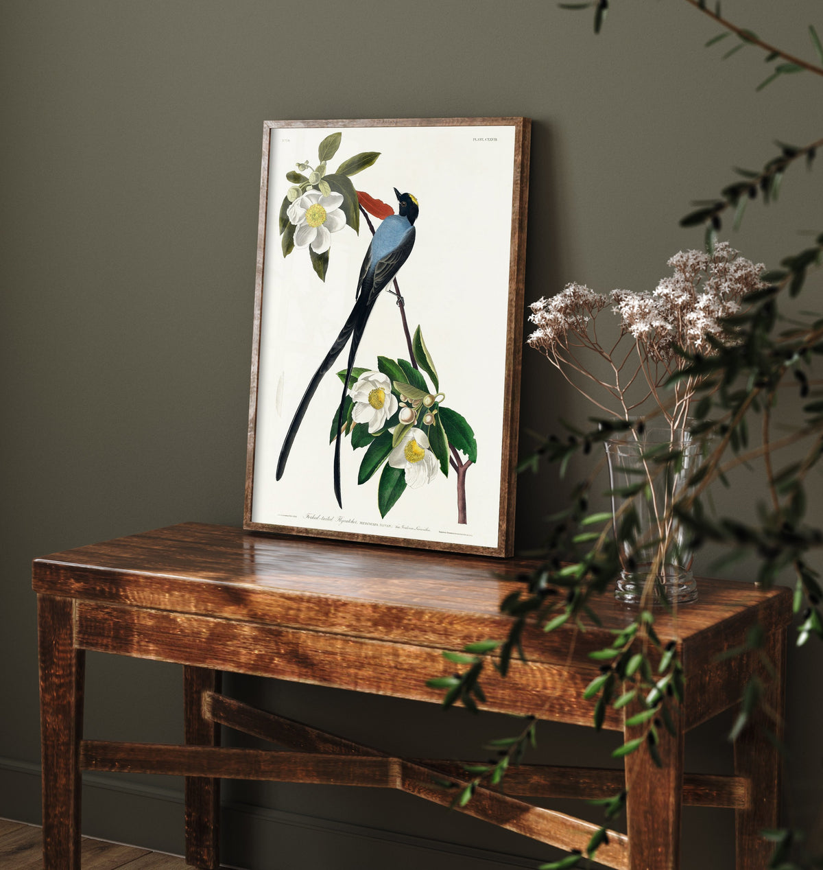Fork-tailed Flycatcher Art Print - John James Audubon Poster - Birds of America Vintage Illustration