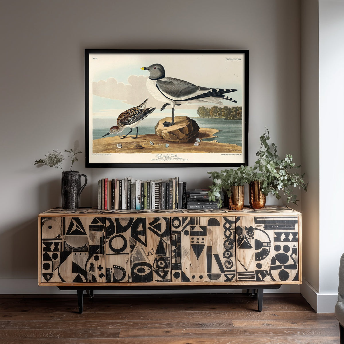 Sabine's Gull Art Print - John James Audubon Poster - Birds of America Vintage Illustration