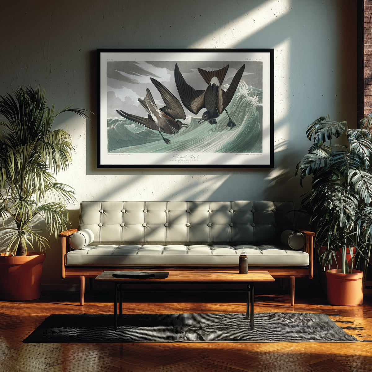 Leach's Storm-Petrel Art Print - John James Audubon Poster - Birds of America Vintage Illustration