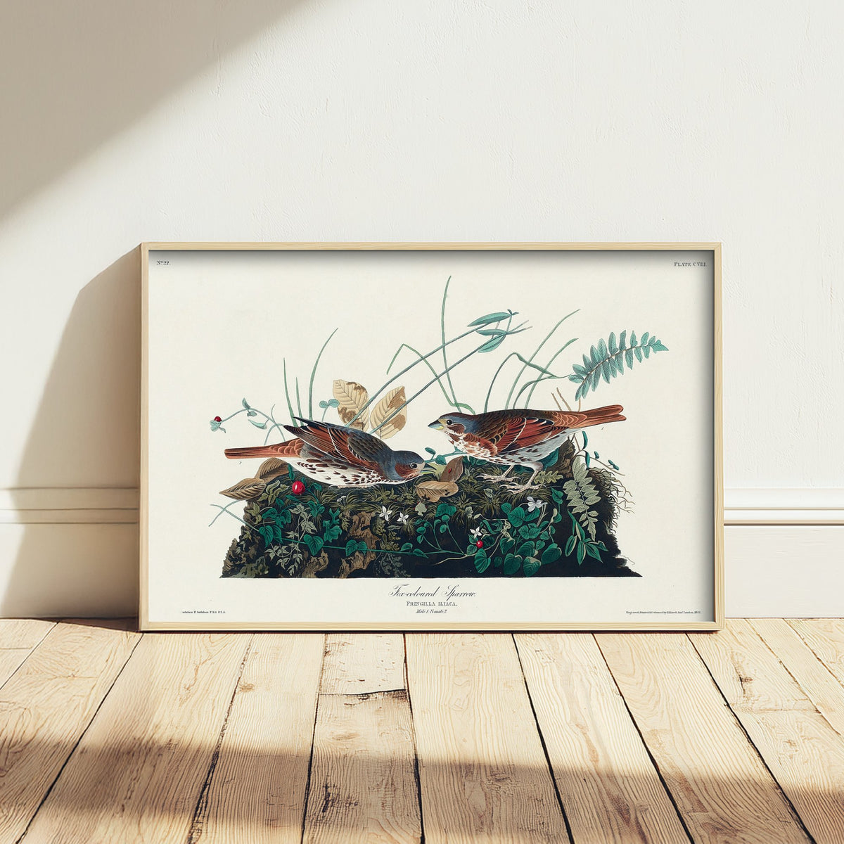 Fox Sparrow Art Print - John James Audubon Poster - Birds of America Vintage Illustration