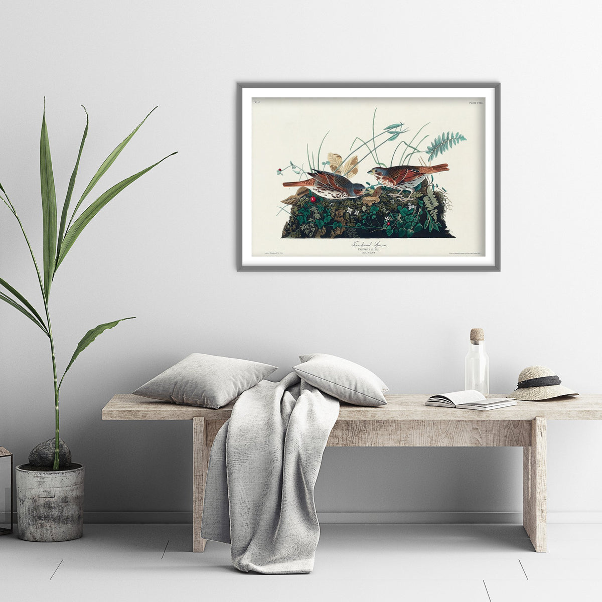 Fox Sparrow Art Print - John James Audubon Poster - Birds of America Vintage Illustration