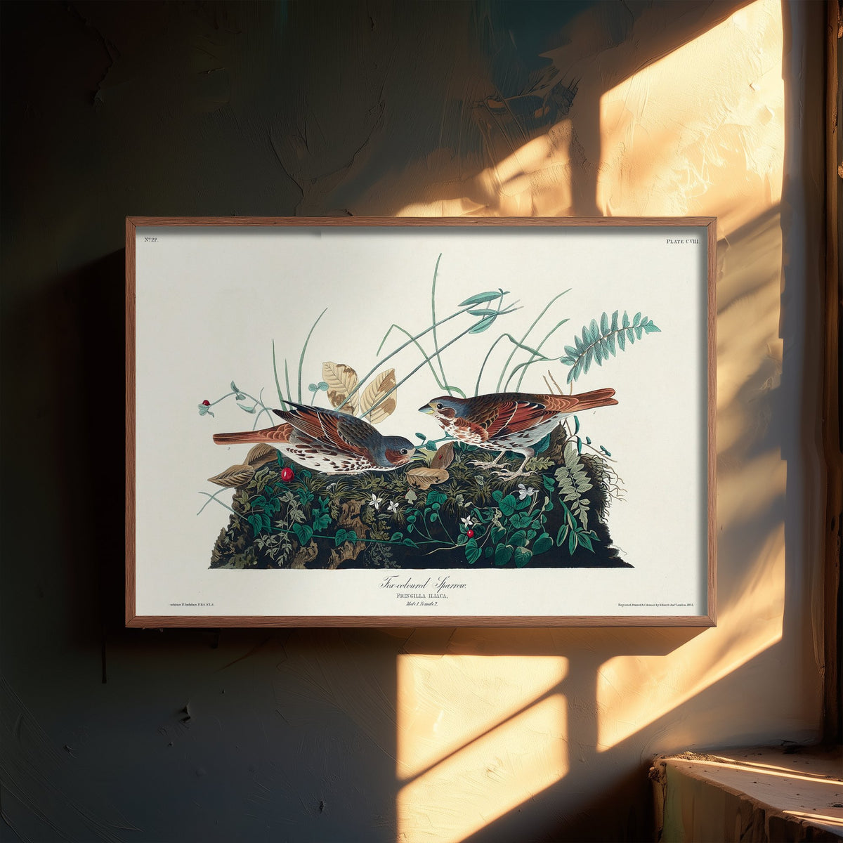 Fox Sparrow Art Print - John James Audubon Poster - Birds of America Vintage Illustration