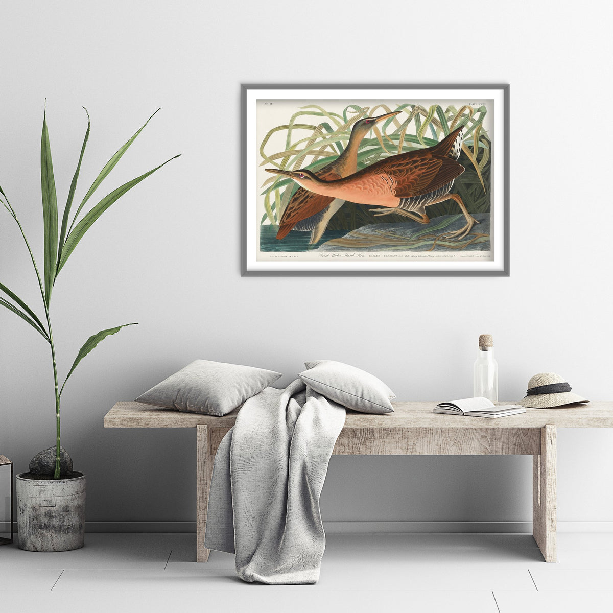 King Rail Art Print - John James Audubon Poster - Birds of America Vintage Illustration