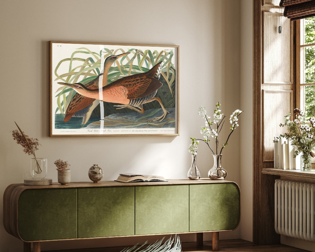 King Rail Art Print - John James Audubon Poster - Birds of America Vintage Illustration
