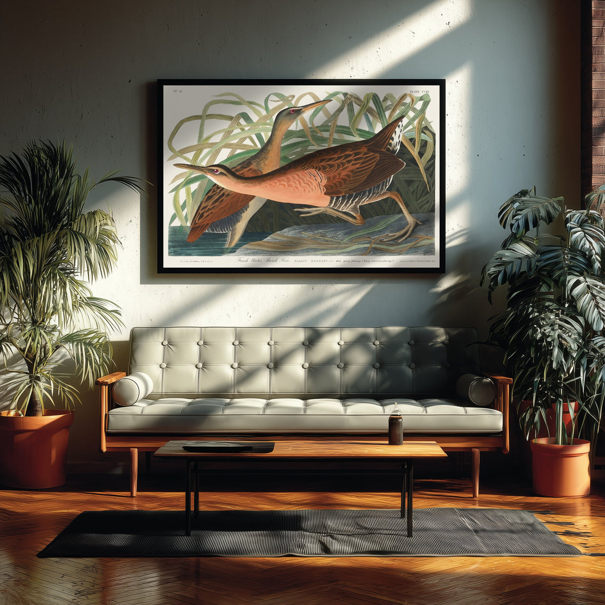 King Rail Art Print - John James Audubon Poster - Birds of America Vintage Illustration