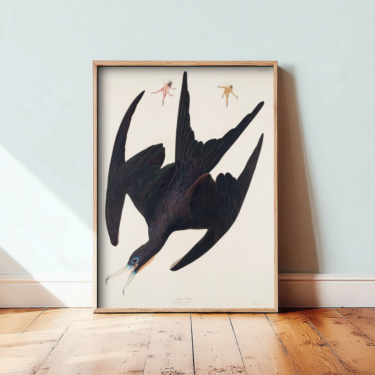 Magnificent Frigatebird Art Print - John James Audubon Poster - Birds of America Vintage Illustration