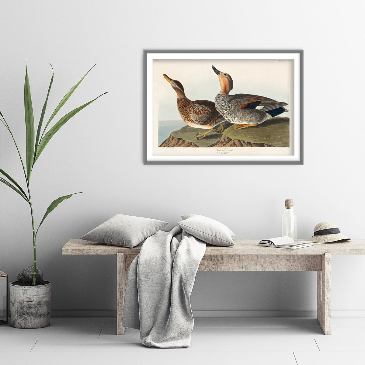 Gadwall Duck Pair Art Print - John James Audubon Poster - Birds of America Illustration