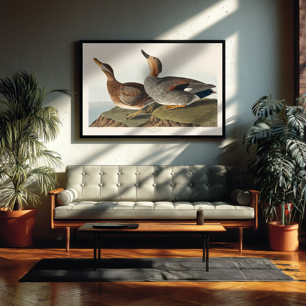 Gadwall Duck Pair Art Print - John James Audubon Poster - Birds of America Illustration