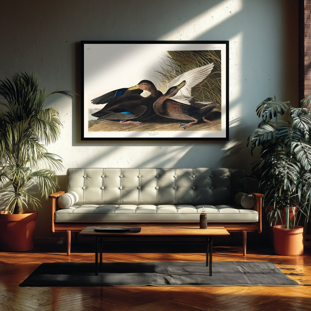 Gadwall Duck II Art Print - John James Audubon Poster - Birds of America Vintage Illustration