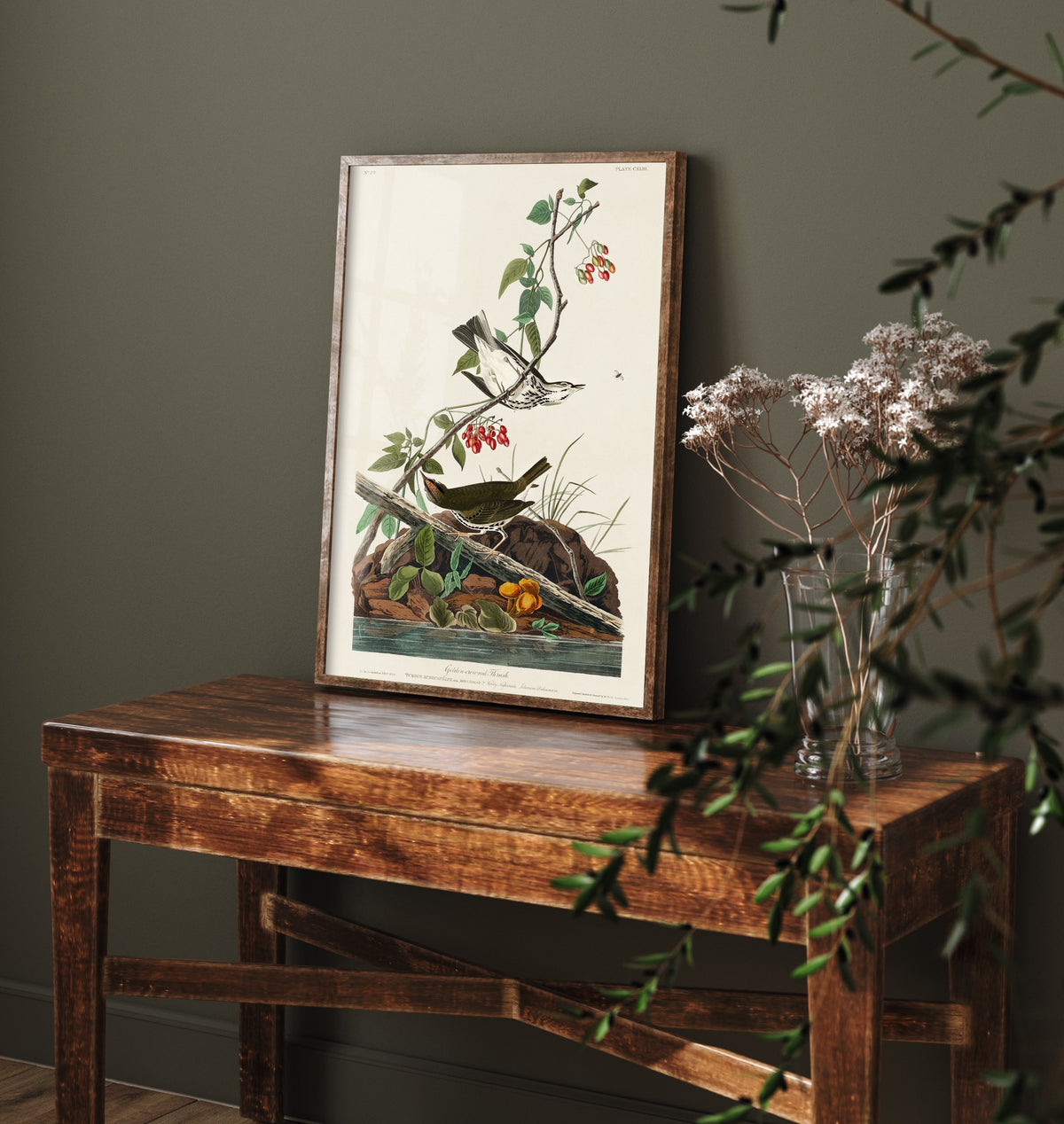 Ovenbird Art Print - John James Audubon Poster - Birds of America Vintage Illustration