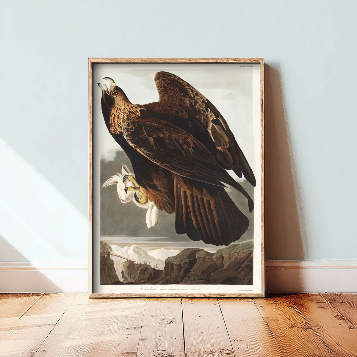 Golden Eagle Art Print - John James Audubon Poster - Birds of America Vintage Illustration