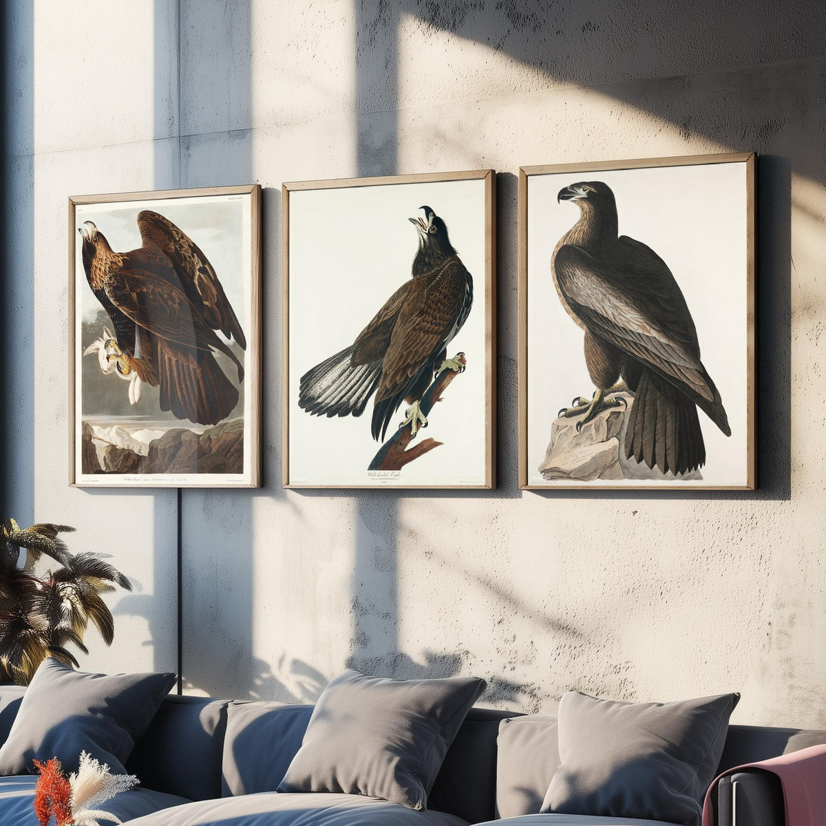Set of Three John James Audubon Prints - Golden Eagle Bald Eagle and Bird of Washington - 3 Eagle Paintings Poster Art Illustration