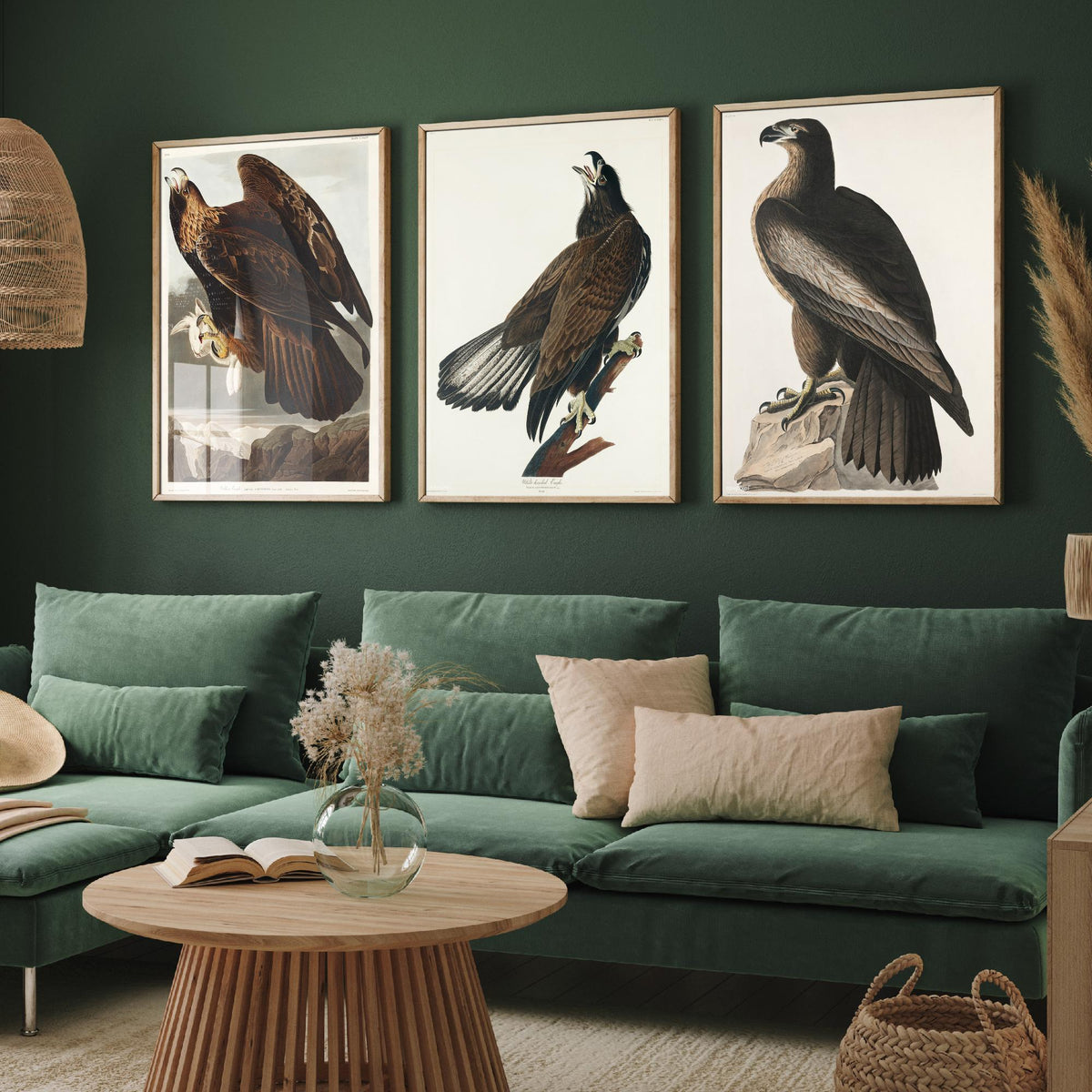 Set of Three John James Audubon Prints - Golden Eagle Bald Eagle and Bird of Washington - 3 Eagle Paintings Poster Art Illustration
