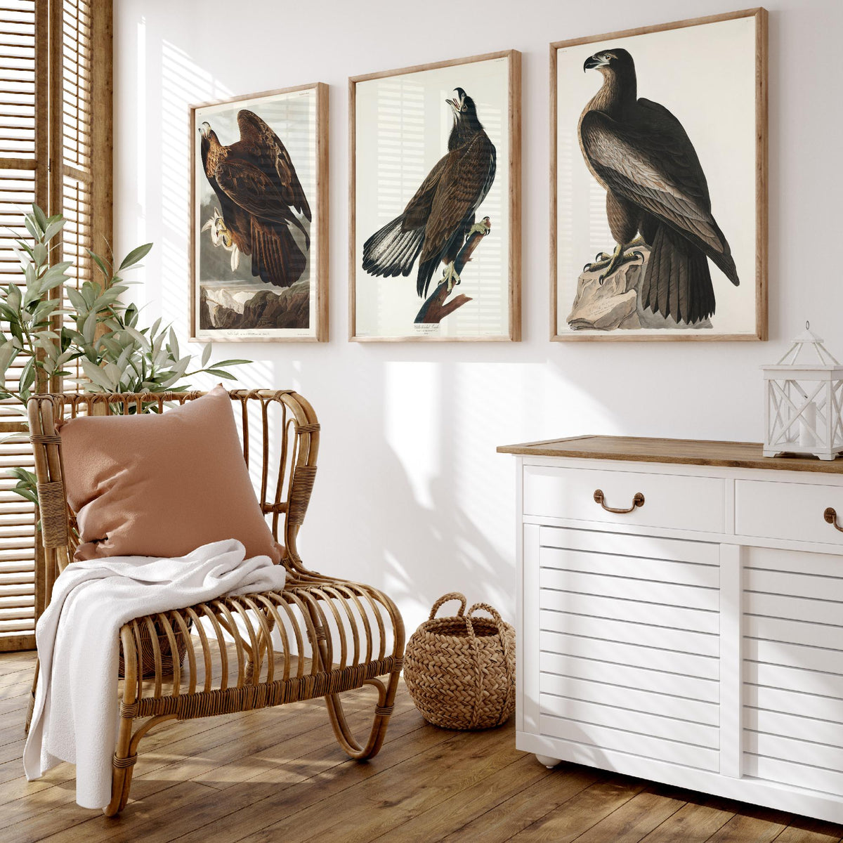 Set of Three John James Audubon Prints - Golden Eagle Bald Eagle and Bird of Washington - 3 Eagle Paintings Poster Art Illustration