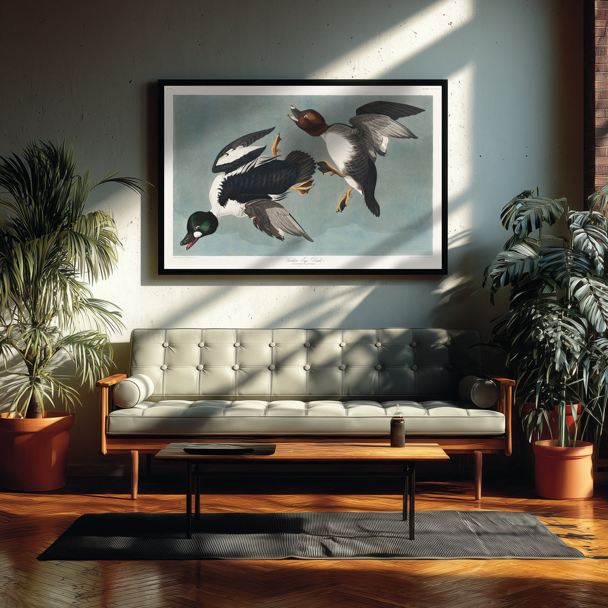 Common Goldeneye Duck Art Print - John James Audubon Poster - Birds of America Illustration