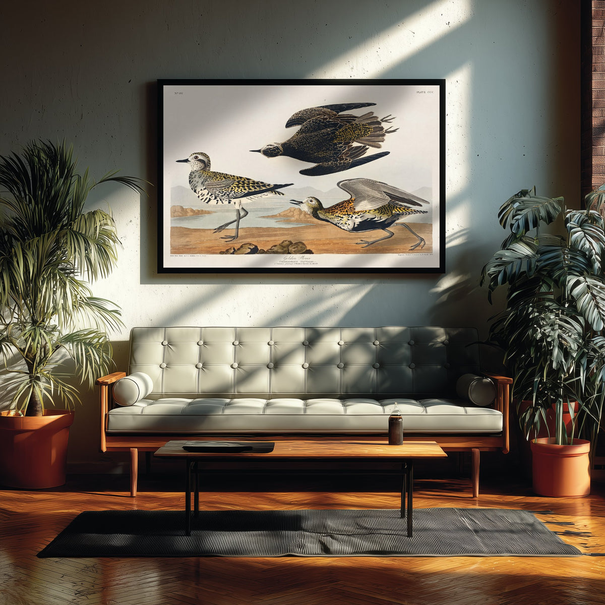 American Golden Plover Art Print - John James Audubon Poster - Birds of America Vintage Illustration