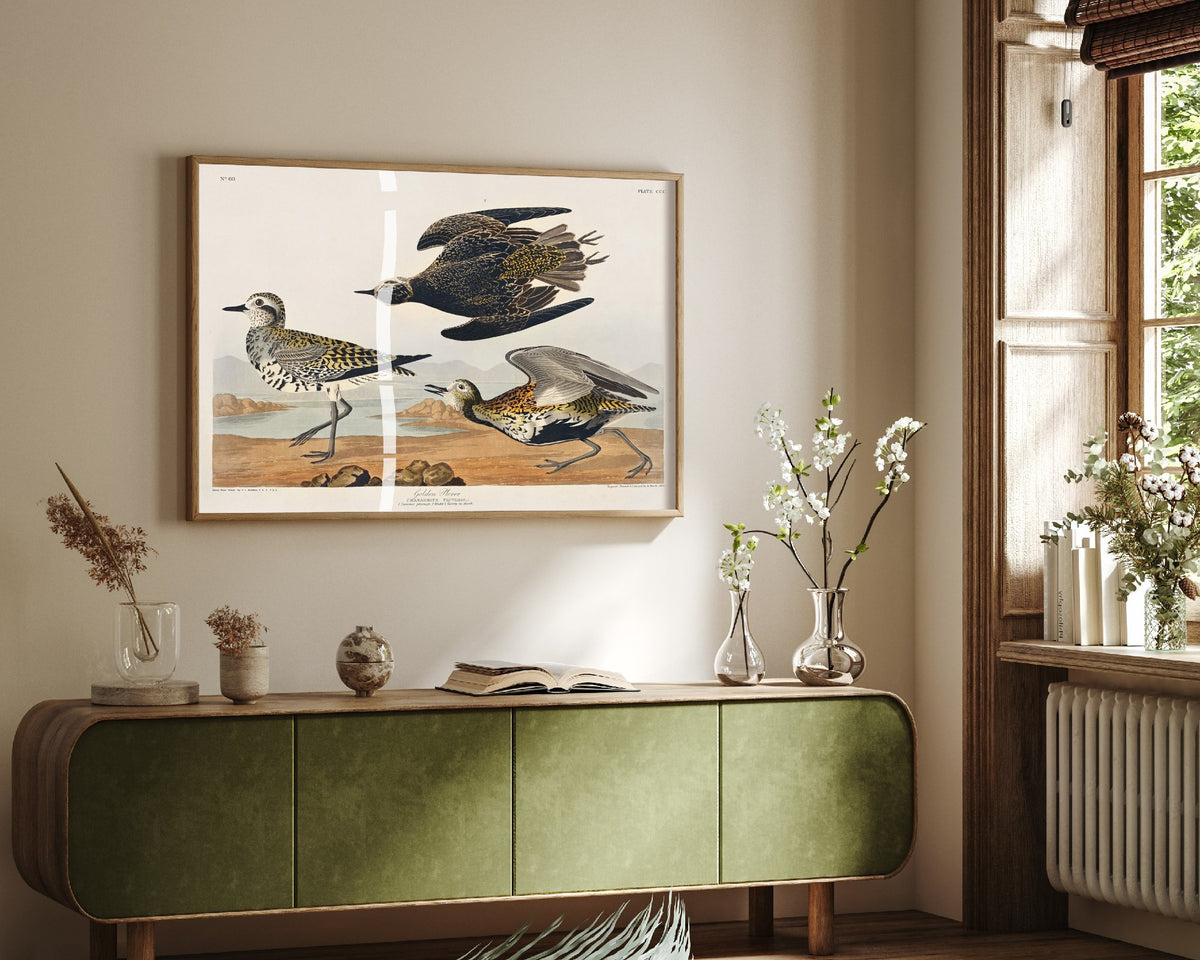 American Golden Plover Art Print - John James Audubon Poster - Birds of America Vintage Illustration