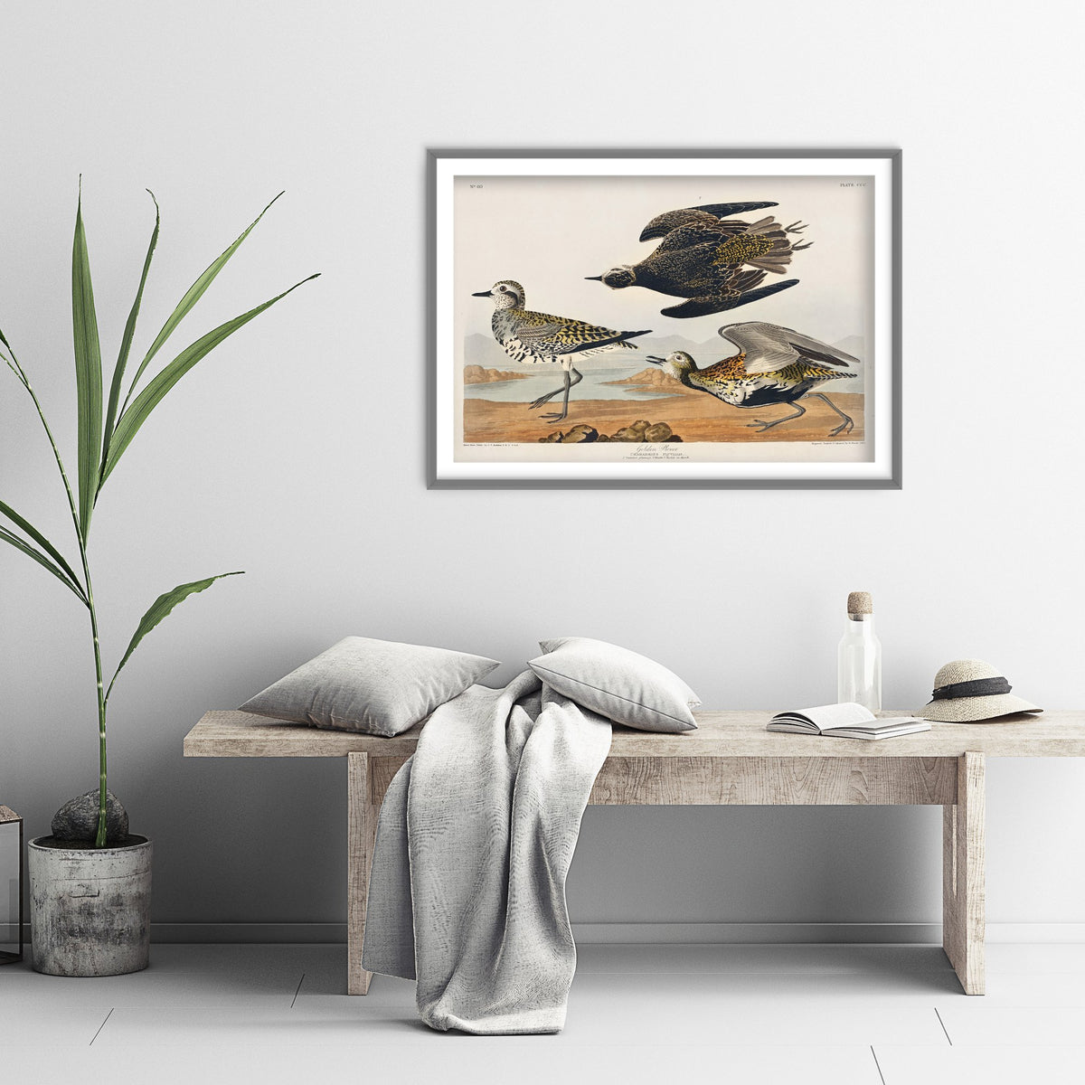 American Golden Plover Art Print - John James Audubon Poster - Birds of America Vintage Illustration