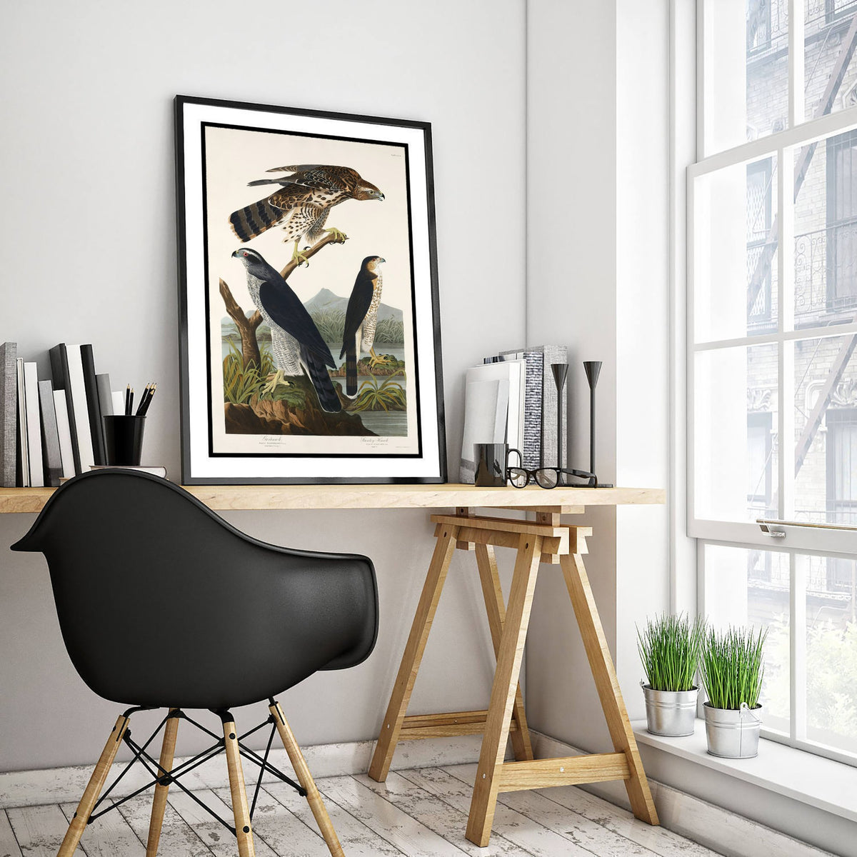 Northern Goshawk Art Print - John James Audubon Poster - Birds of America Vintage Illustration