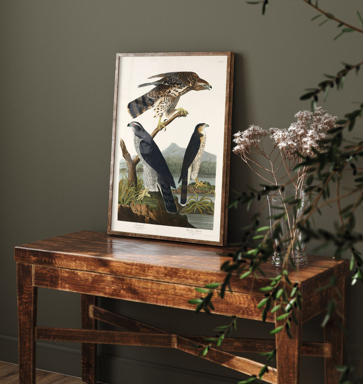 Northern Goshawk Art Print - John James Audubon Poster - Birds of America Vintage Illustration