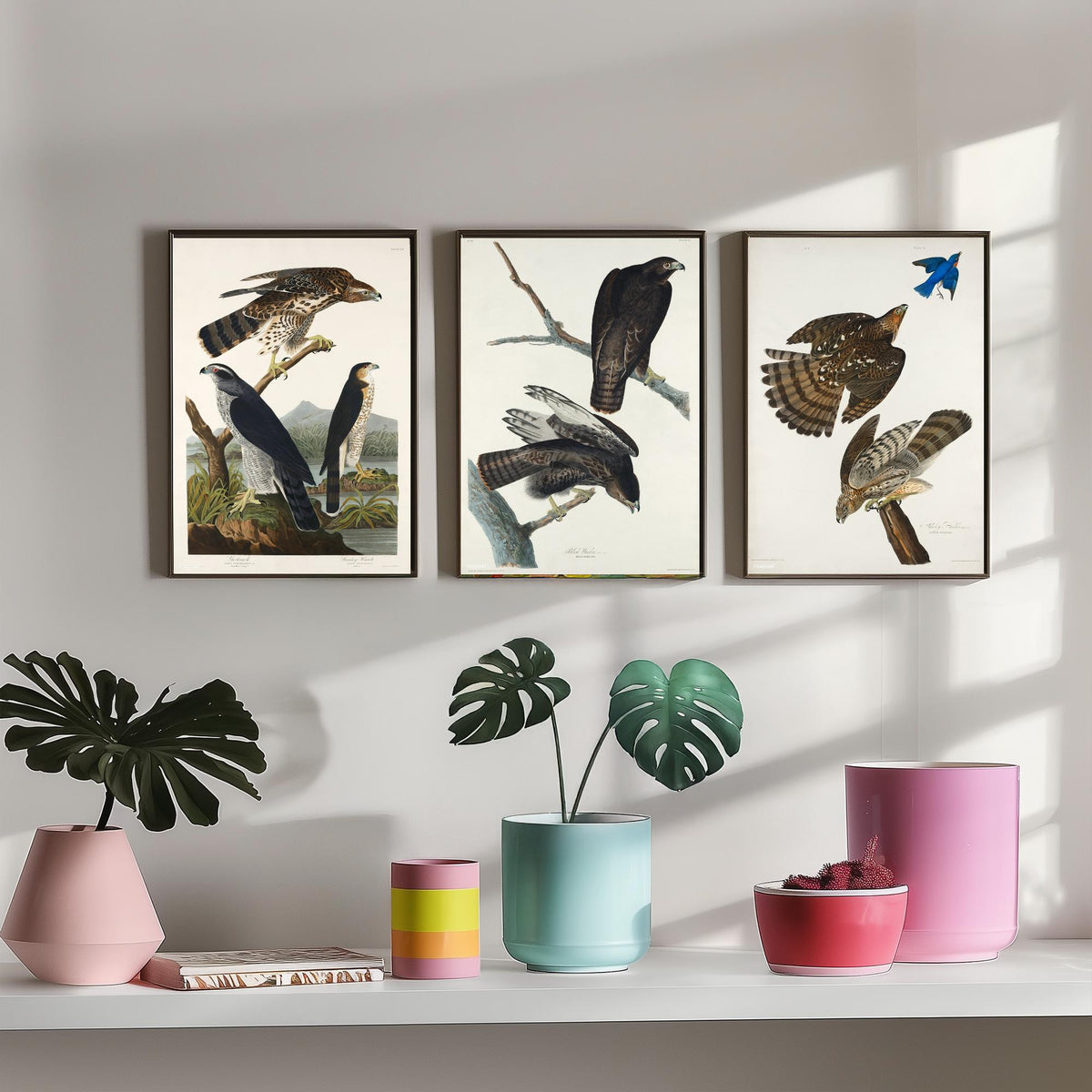 Set of Three John James Audubon Prints - Goshawk Black Warrior and Stanley Hawk - 3 Hawk Paintings Poster Wall Art Illustration