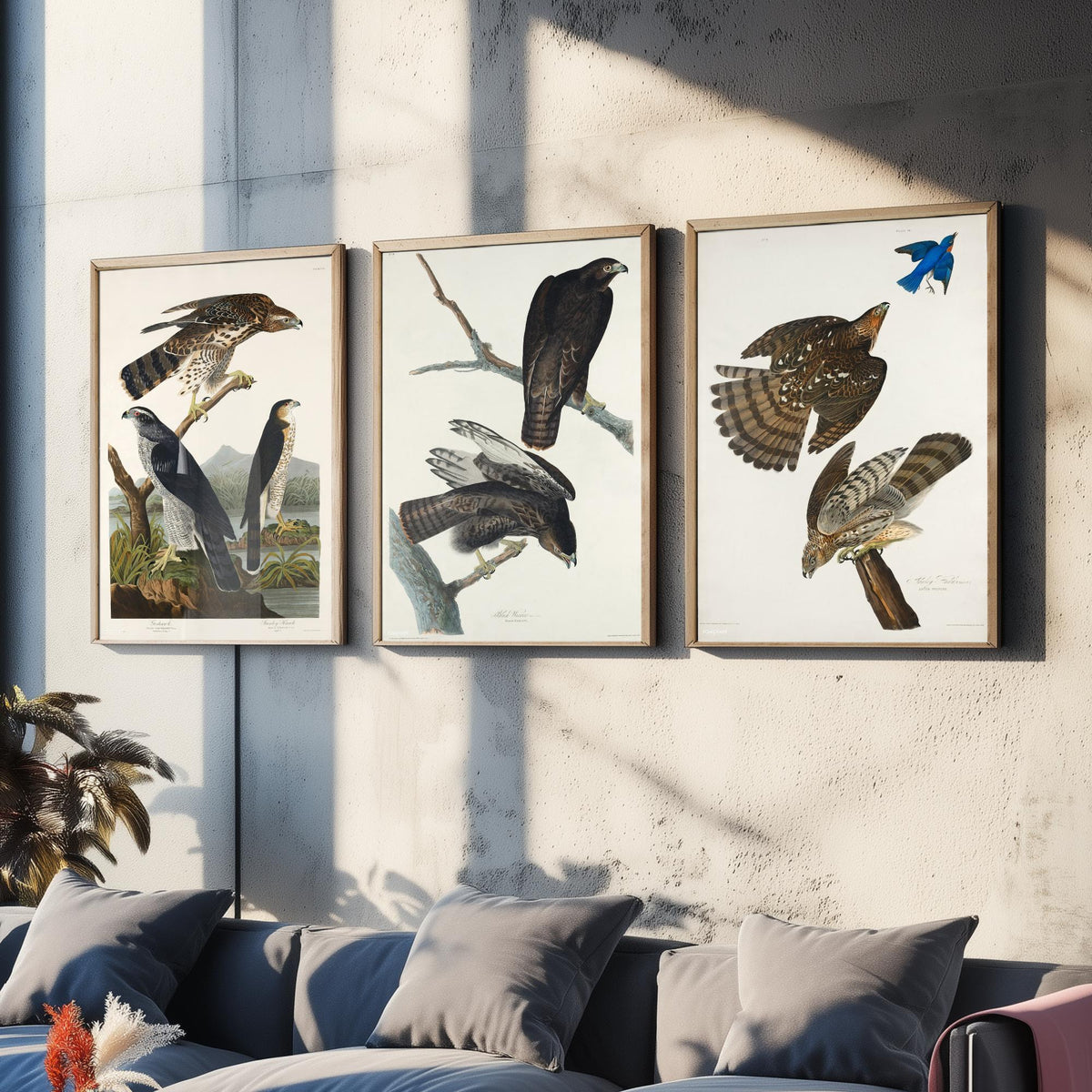 Set of Three John James Audubon Prints - Goshawk Black Warrior and Stanley Hawk - 3 Hawk Paintings Poster Wall Art Illustration