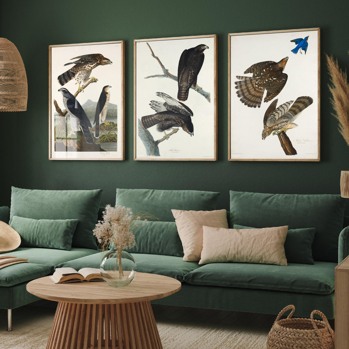 Set of Three John James Audubon Prints - Goshawk Black Warrior and Stanley Hawk - 3 Hawk Paintings Poster Wall Art Illustration