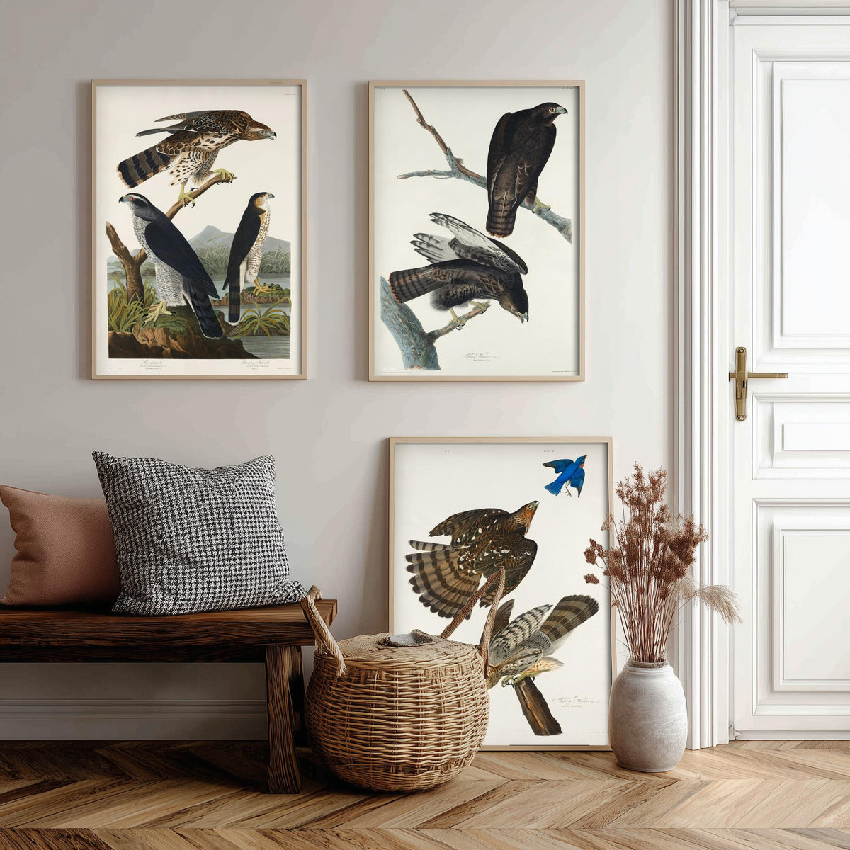 Set of Three John James Audubon Prints - Goshawk Black Warrior and Stanley Hawk - 3 Hawk Paintings Poster Wall Art Illustration