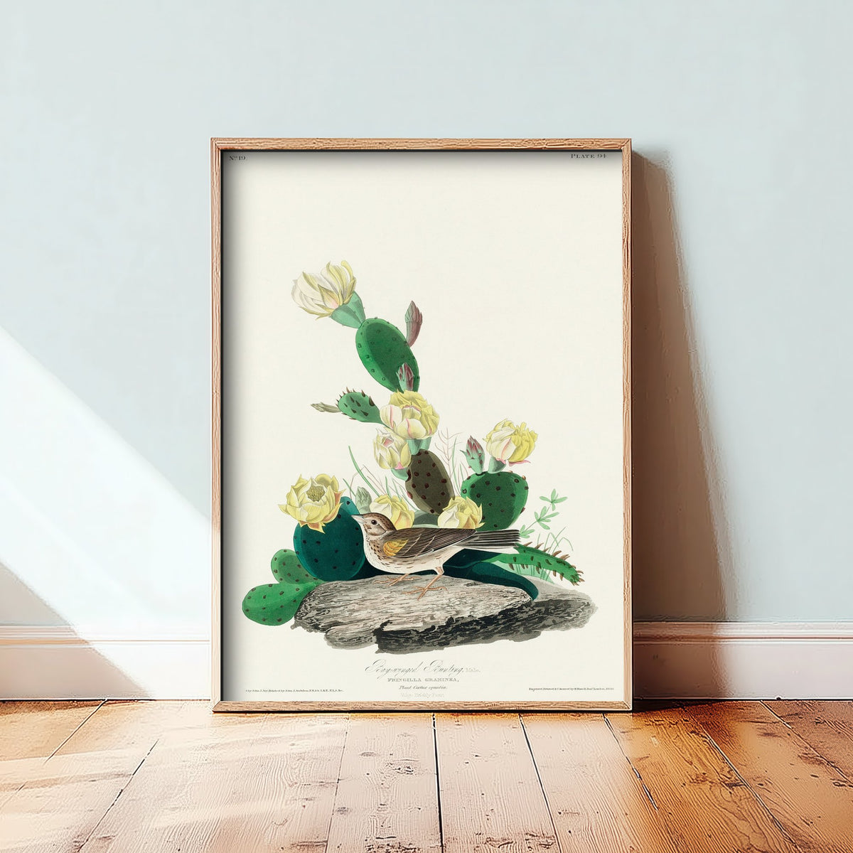 Vesper Sparrow Art Print - John James Audubon Poster - Birds of America Vintage Illustration