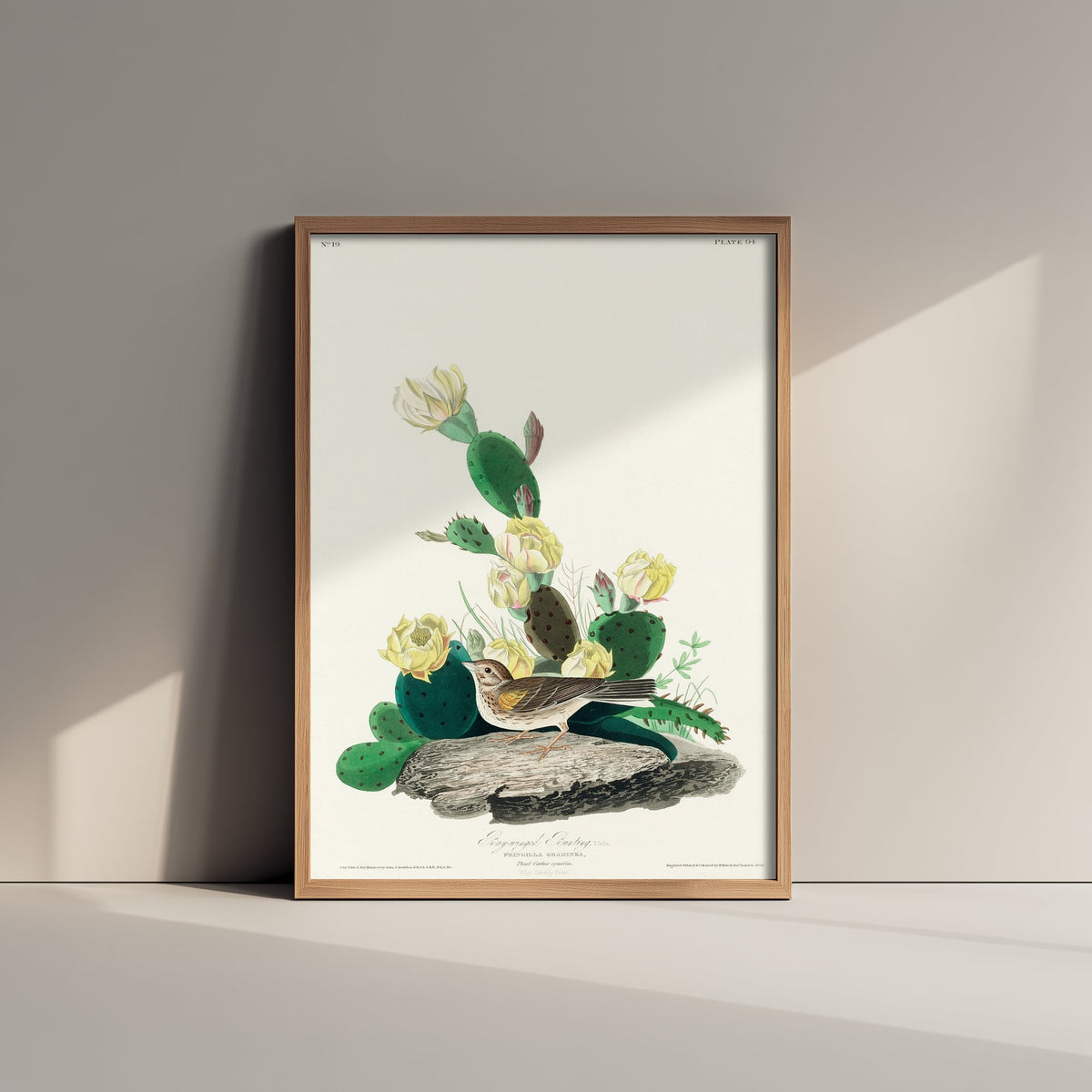 Vesper Sparrow Art Print - John James Audubon Poster - Birds of America Vintage Illustration