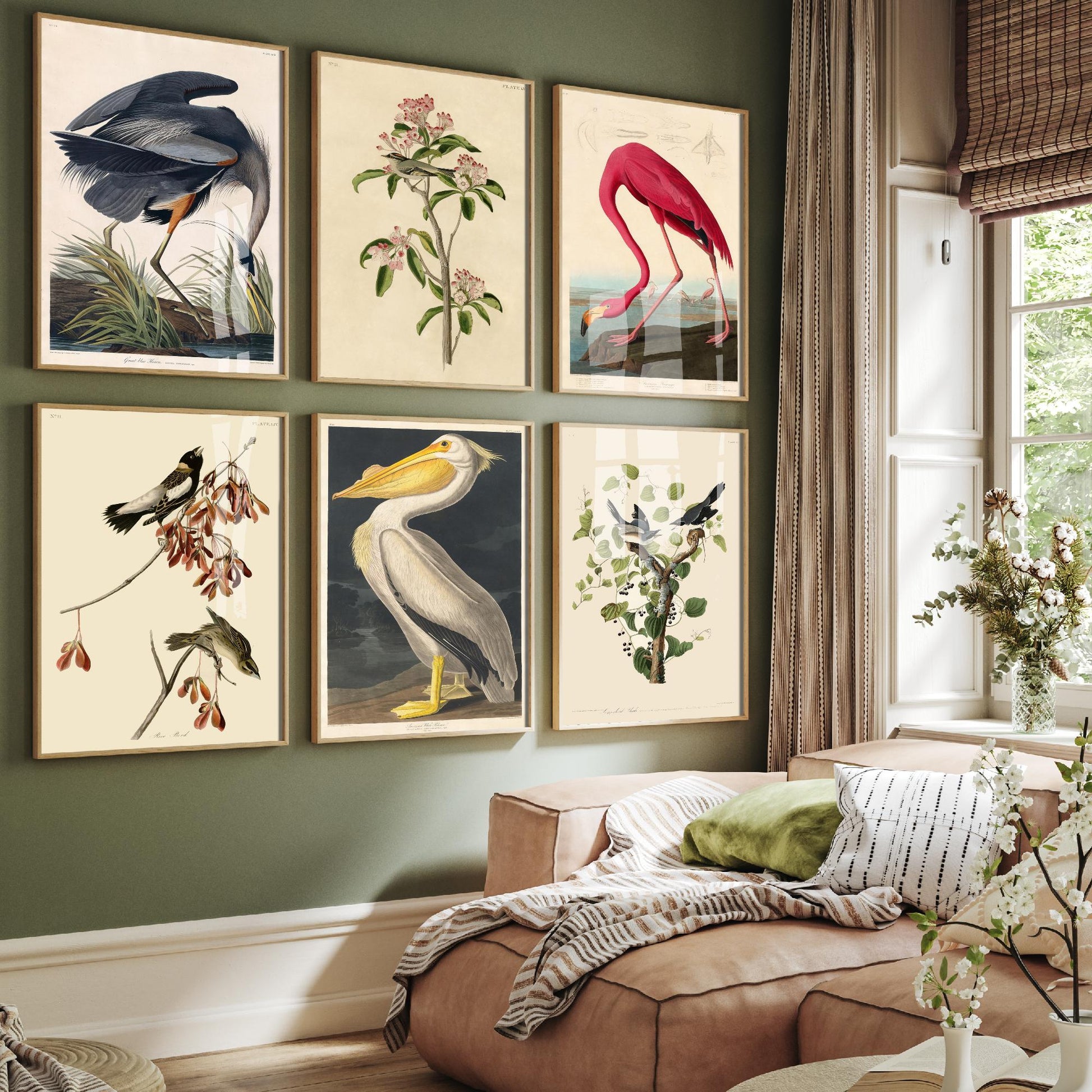 Set of Six John James Audubon Art Prints - 6 Classic Bird Paintings - Great Blue Heron, American Flamingo, White Pelican, Rice Bird Poster
