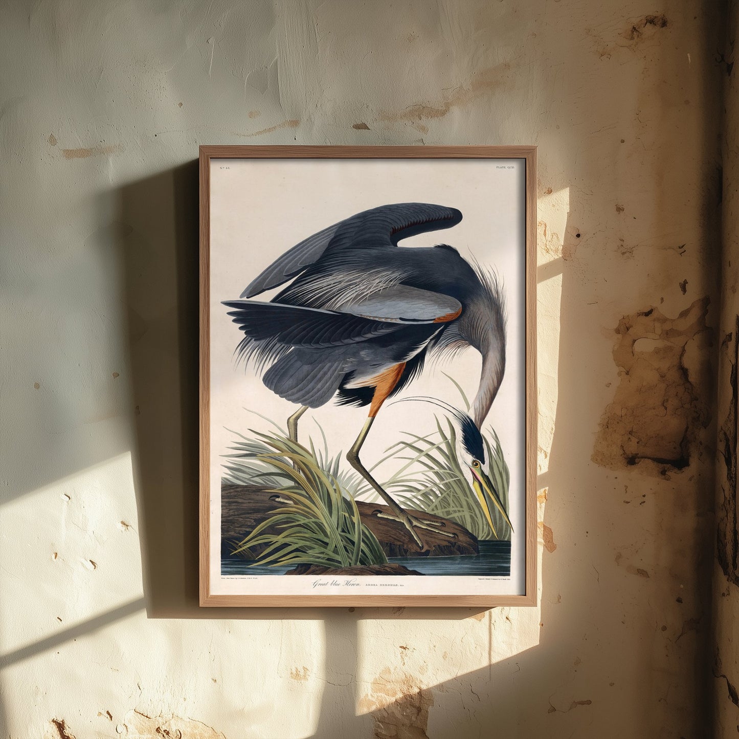 John James Audubon - Great Blue Heron - Birds of America Art Print Poster - Classic Painting 1/3