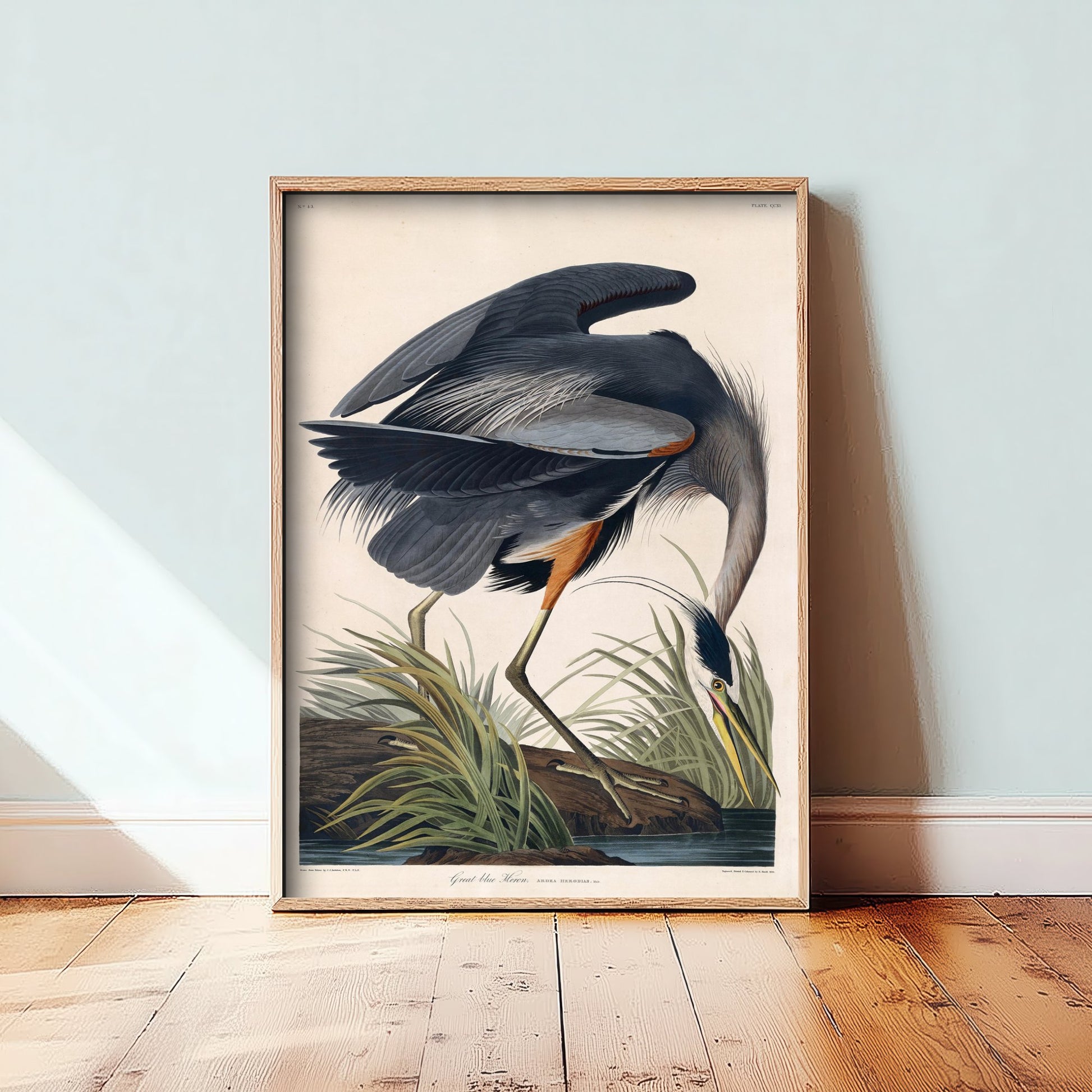 John James Audubon - Great Blue Heron - Birds of America Art Print Poster - Classic Painting 1/3