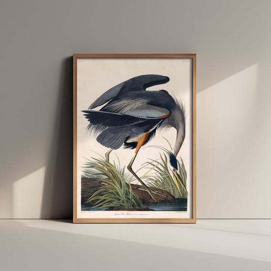 John James Audubon - Great Blue Heron (1834) - Classic Painting Poster Print Art - Birds of America 1/3