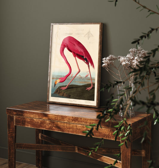 John James Audubon - American Flamingo (1838) - Classic Painting Poster Print Art - Birds of America 2/3