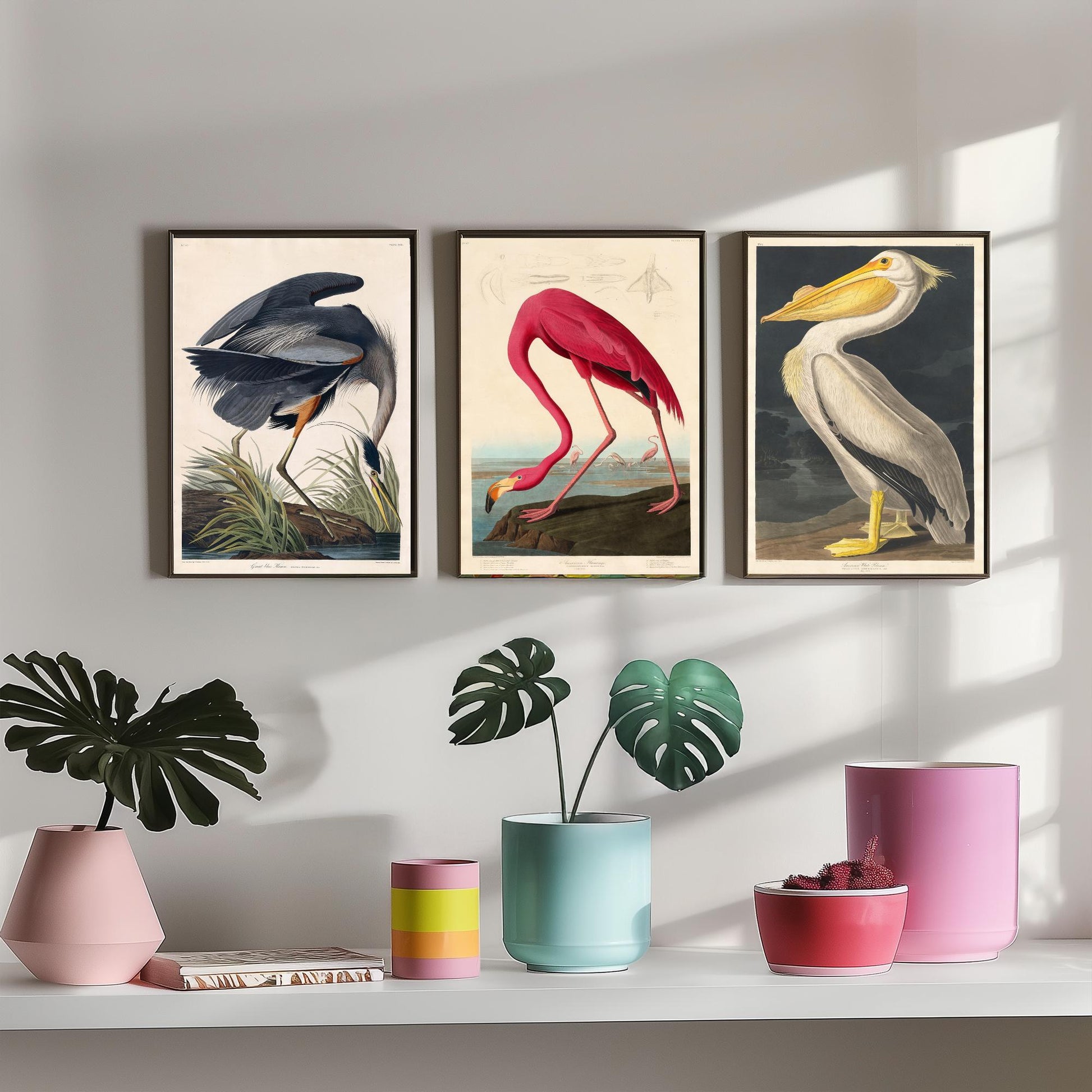 Set of Three John James Audubon Prints - Great Blue Heron, Flamingo, Pelican - Vintage Bird Art Print Poster Wall Gift Illustration
