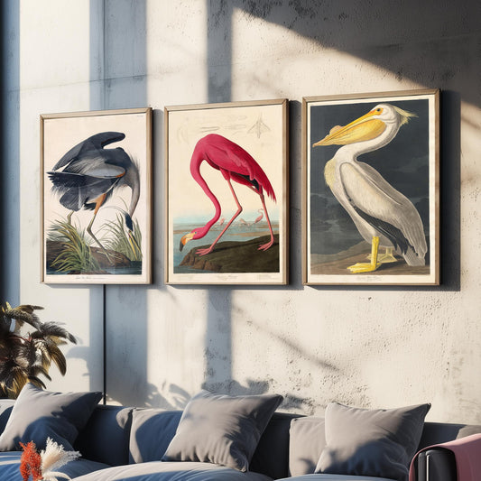 Set of Three John James Audubon Prints - Great Blue Heron, Flamingo, Pelican - Vintage Bird Art Print Poster Wall Gift Illustration