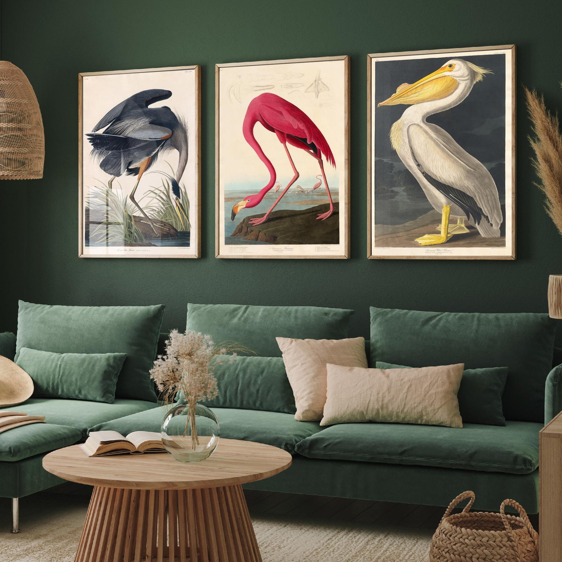 Set of Three John James Audubon Prints - Great Blue Heron, Flamingo, Pelican - Vintage Bird Art Print Poster Wall Gift Illustration