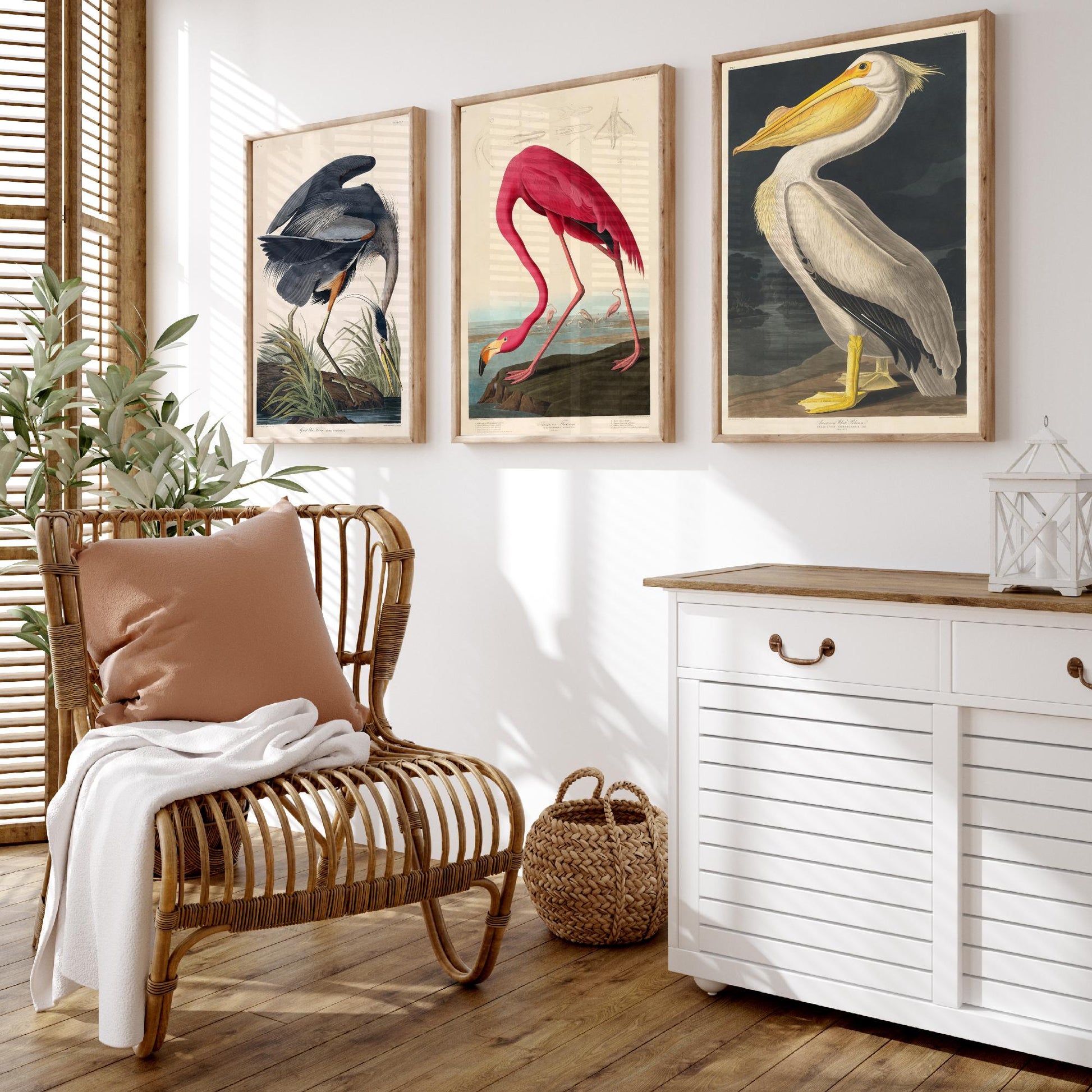 Set of Three John James Audubon Prints - Great Blue Heron, Flamingo, Pelican - Vintage Bird Art Print Poster Wall Gift Illustration