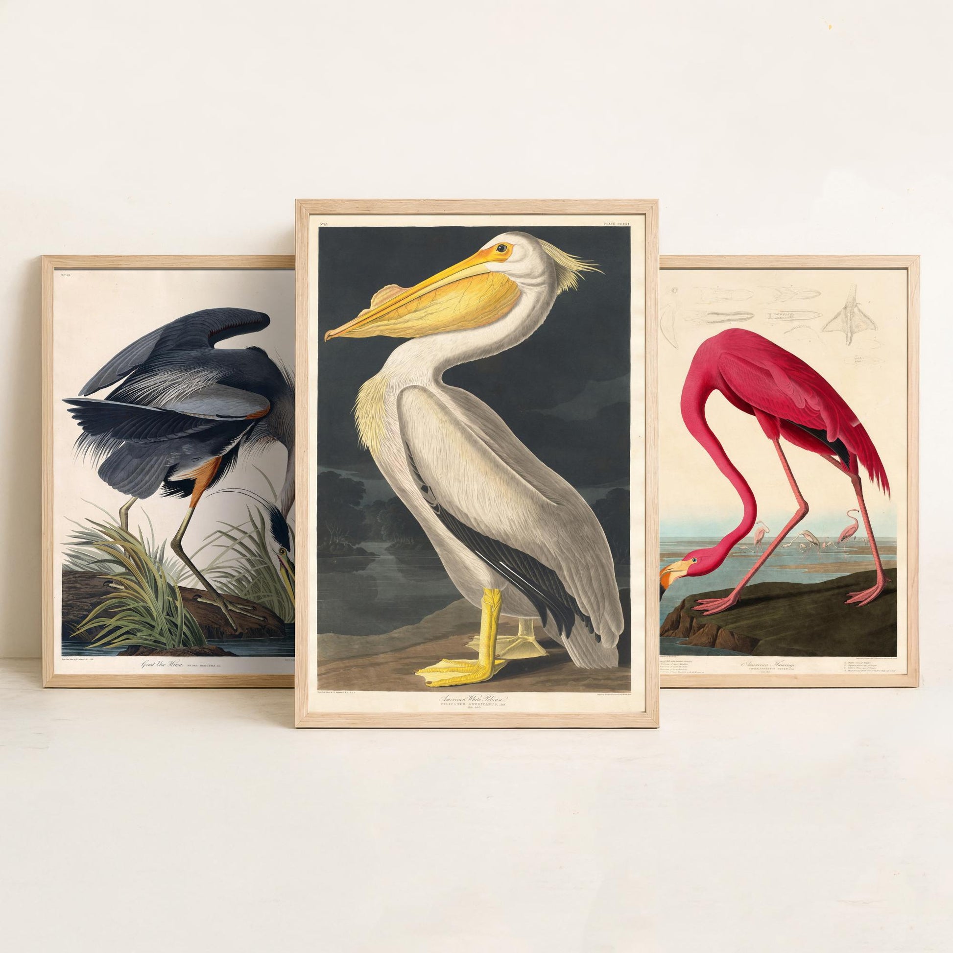 Set of Three John James Audubon Prints - Great Blue Heron, Flamingo, Pelican - Vintage Bird Art Print Poster Wall Gift Illustration