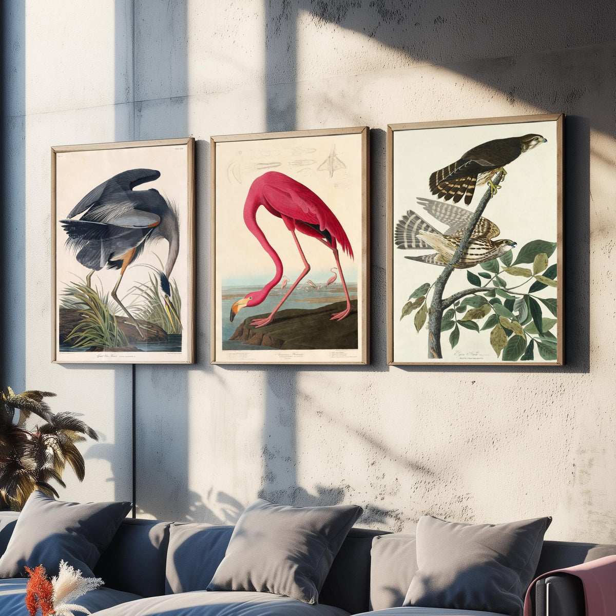 John James Audubon Set of Three Art Prints - Great Blue Heron, American Flamingo, Hawks - Birds of America Illustration Poster