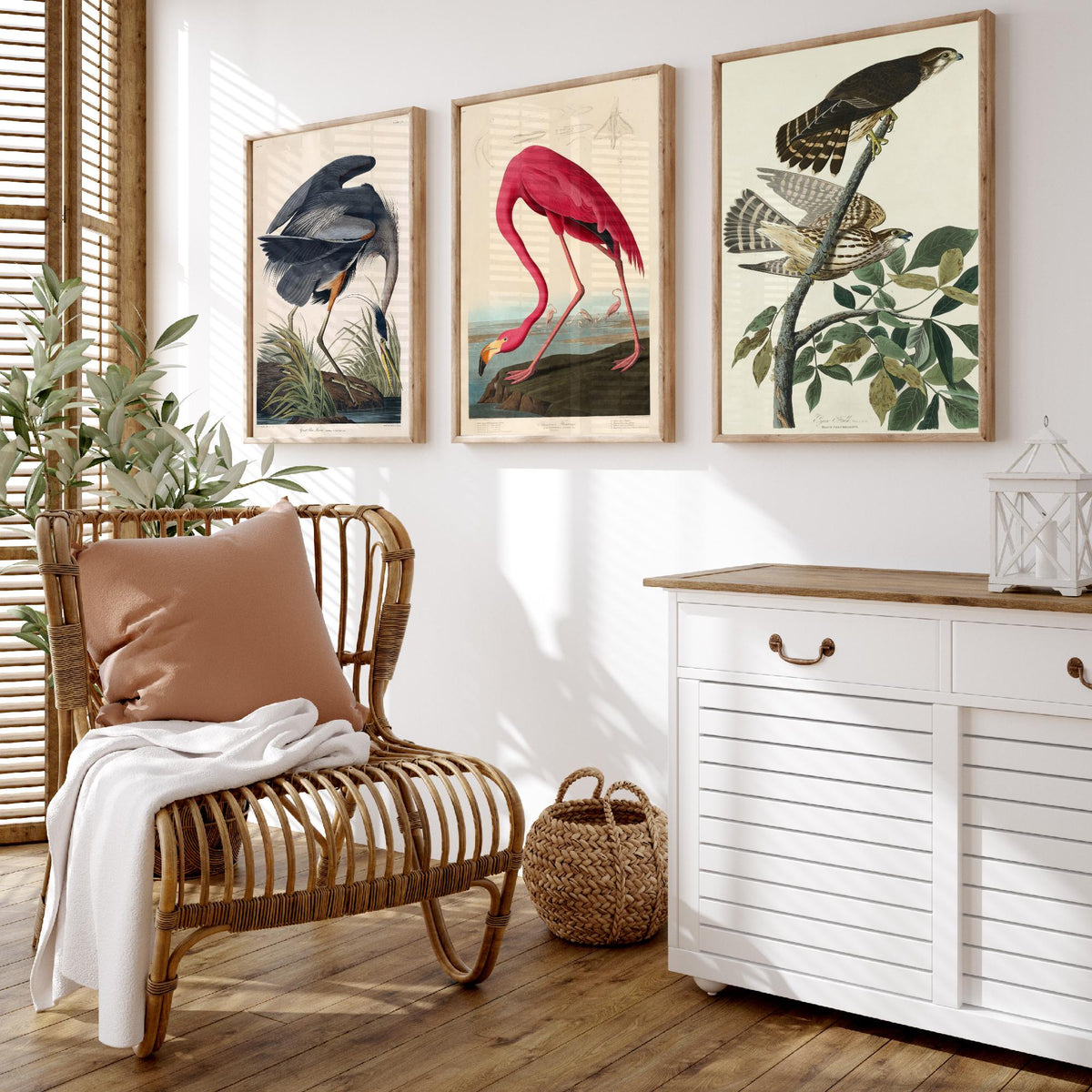 John James Audubon Set of Three Art Prints - Great Blue Heron, American Flamingo, Hawks - Birds of America Illustration Poster