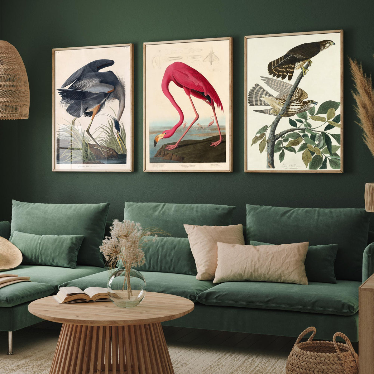 John James Audubon Set of Three Art Prints - Great Blue Heron, American Flamingo, Hawks - Birds of America Illustration Poster